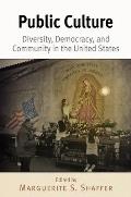 Public Culture: Diversity, Democracy, and Community in the United States