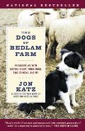 Dogs of Bedlam Farm An Adventure with Sixteen Sheep Three Dogs Two Donkeys & Me