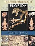 Fossil Vertebrates Of Florida