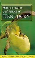 Wildflowers & Ferns Of Kentucky