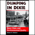 Dumping In Dixie Race Class & Envi