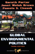 Global Environmental Politics 3rd Edition