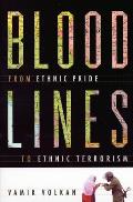 Bloodlines: From Ethnic Pride to Ethnic Terrorism