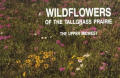 Wildflowers Of The Tall Grass Prairi
