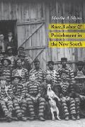 Race Labor Punishment in New South