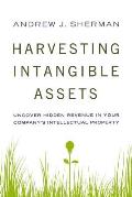 Harvesting Intangible Assets: Uncover Hidden Revenue in Your Company's Intellectual Property