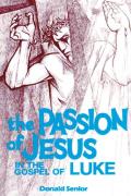 The Passion of Jesus in the Gospel of Luke: Volume 3