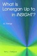 What Is Lonergan Up to in Insight?: A Primer