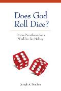 Does God Roll Dice?: Divine Providence for a World in the Making