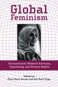 Global Feminism: Transnational Women's Activism, Organizing, and Human Rights