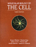 Molecular Biology Of The Cell 3rd Edition