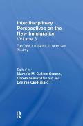 The New Immigrant in American Society: Interdisciplinary Perspectives on the New Immigration