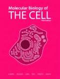 Molecular Biology of the Cell 5th Edition