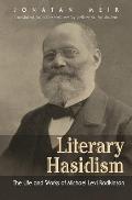 Literary Hasidism: The Life and Works of Michael Levi Rodkinson
