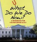 What Do We Do Now?: A Workbook for the President-Elect