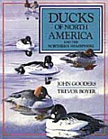 Ducks Of North America & The Northern