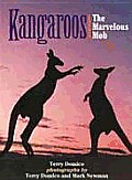 Kangaroos The Marvelous Mob