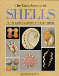 Encyclopedia Of Shells