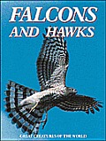 Falcons & Hawks