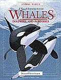 Whales Dolphins & Porpoises