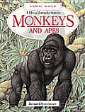 Visual Introduction To Monkeys & Apes Animal Wa