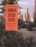 Sonoran Desert Plants An Ecological Atla