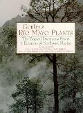 Gentry's Rio Mayo Plants: The Tropical Deciduous Forest and Environs of Northwest Mexico