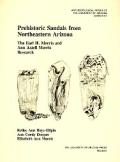 Prehistoric Sandals from Northeastern Arizona: The Earl H. Morris and Ann Axtell Morris Research Volume 62