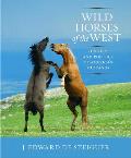 Wild Horses of the West History & Politics of Americas Mustangs