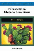 Intersectional Chicana Feminisms: Sitios Y Lenguas