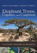 Elephant Trees Copales & Cuajiotes