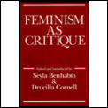 Feminism As Critique On The Politics Of