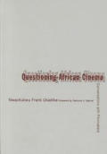 Questioning African Cinema