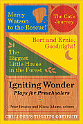 Igniting Wonder Plays for Preschoolers