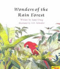 Wonders Of The Rain Forest
