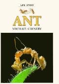 Ant Life Story