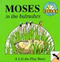 Moses In The Bulrushes Tiny Bible Tales