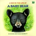 Day In The Life Of A Baby Bear