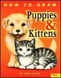How To Draw Puppies & Kittens