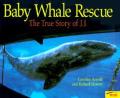Baby Whale Rescue The True Story Of J J