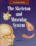 Skeleton & Muscular System