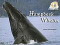 Steck-Vaughn Pair-It Books Emergent 1: Individual Student Edition Humpback Whales
