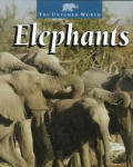 Elephants The Untamed World