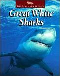 Great White Sharks The Untamed World