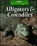 Untamed World Alligators & Crocodiles