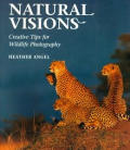 Natural Visions Creative Tips For Wild