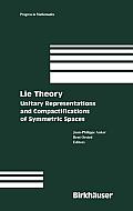 Lie Theory: Unitary Representations and Compactifications of Symmetric Spaces