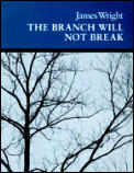 Branch Will Not Break