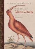 The Curious Mister Catesby: A Truly Ingenious Naturalist Explores New Worlds