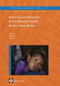 Incentives and Dynamics in the Ethiopian Health Worker Labor Market: Volume 192